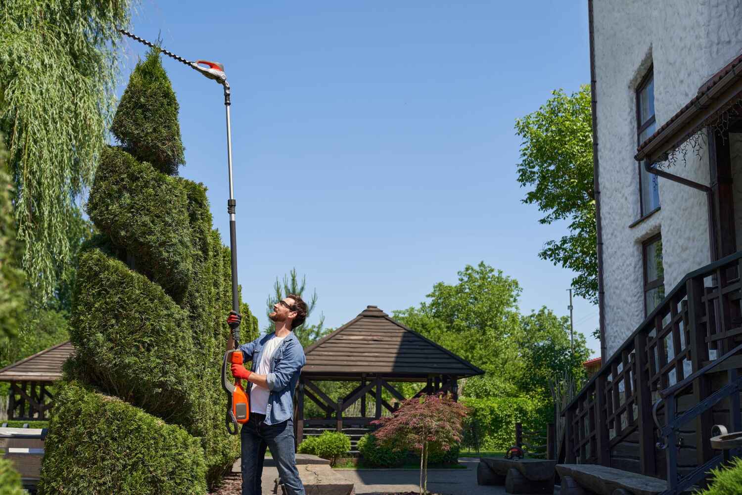 Best Tree Trimming Near Me  in Cnelius, OR